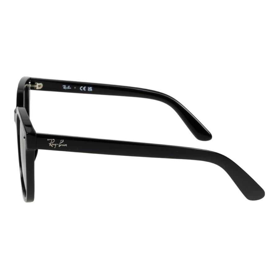 Ray-Ban（レイバン） サングラス rb4401d 55サイズ 601/87 ロー