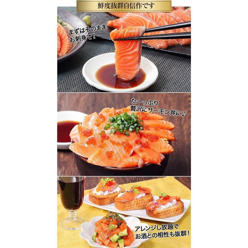 鮭の王様 キングサーモンお刺身用800g 昆布巻き