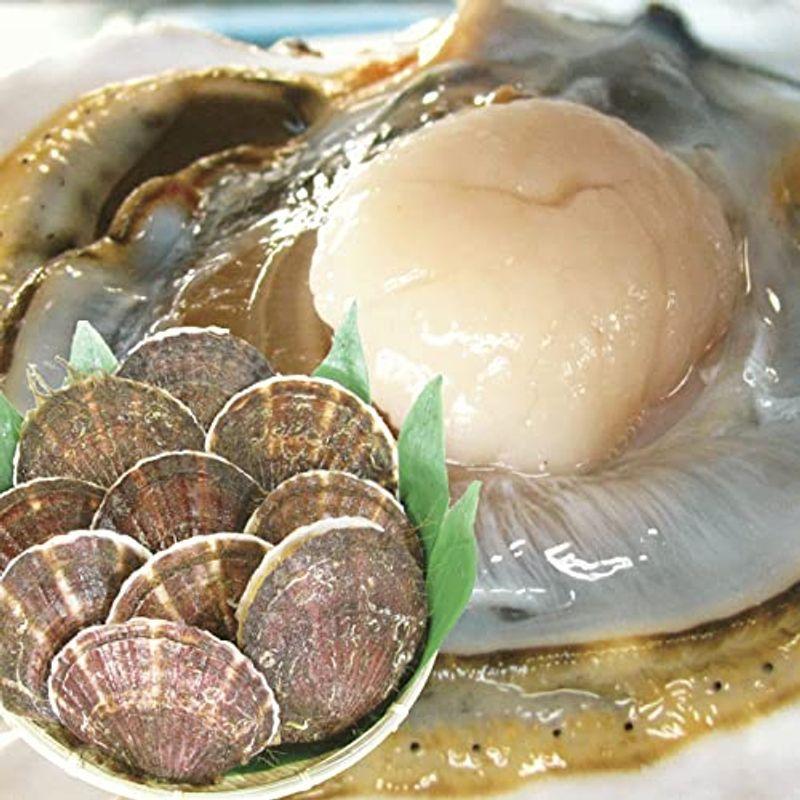 青森期待の新人商店 ほたて 殻付き 大3kg 貝柱が美味 活ホタテ大サイズ3キロ 青森陸奥湾産