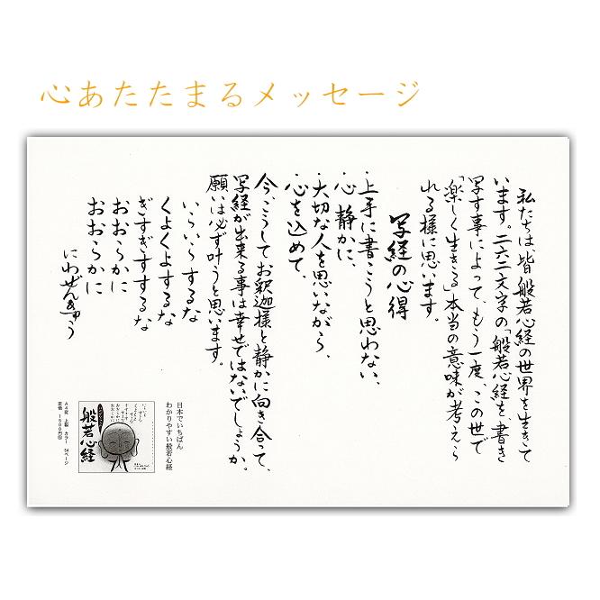 書道作品 東照宮遺訓　木製フレーム　般若心経の色紙付き 書道作品 東照宮遺訓 木製フレーム 般若心経の色紙付き