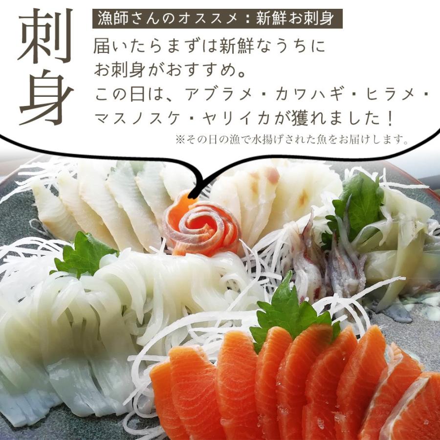 朝獲れ 鮮魚 セット 青森 尾駮漁港 3000円 贈り物 お歳暮 魚詰合せ Obc As0001 尾駮鮮魚団yahoo 店 通販 Yahoo ショッピング