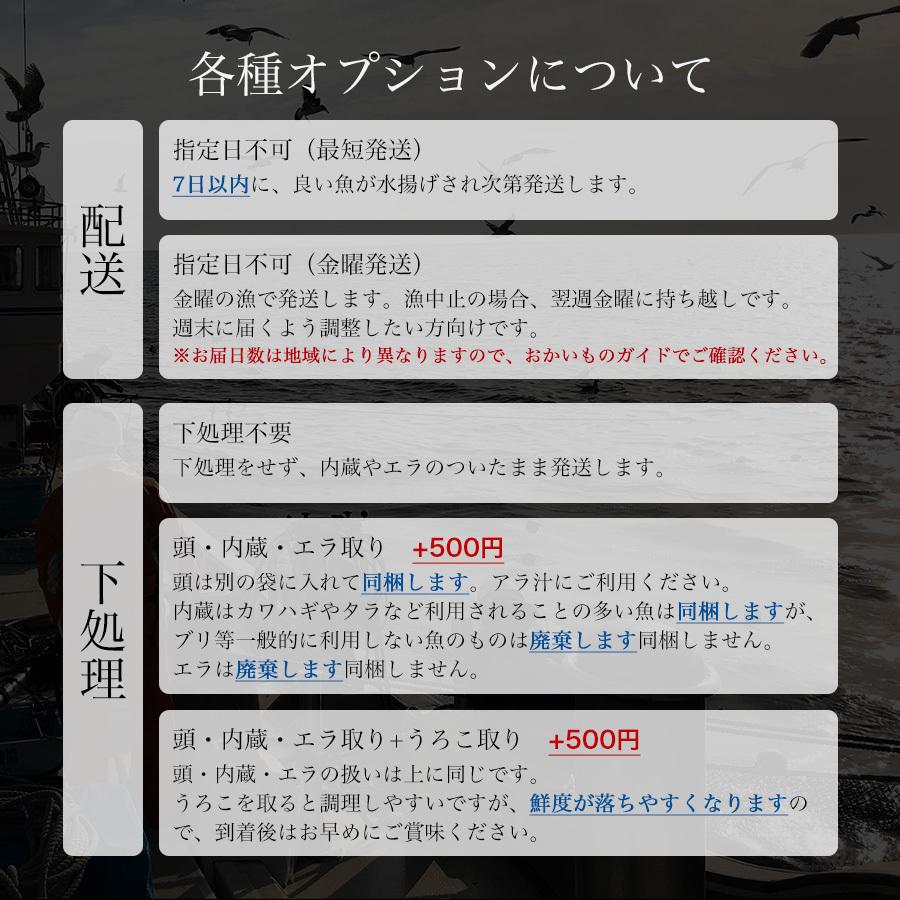 朝獲れ 鮮魚 セット 青森 尾駮漁港 3000円 贈り物 お歳暮 魚詰合せ Obc As0001 尾駮鮮魚団yahoo 店 通販 Yahoo ショッピング