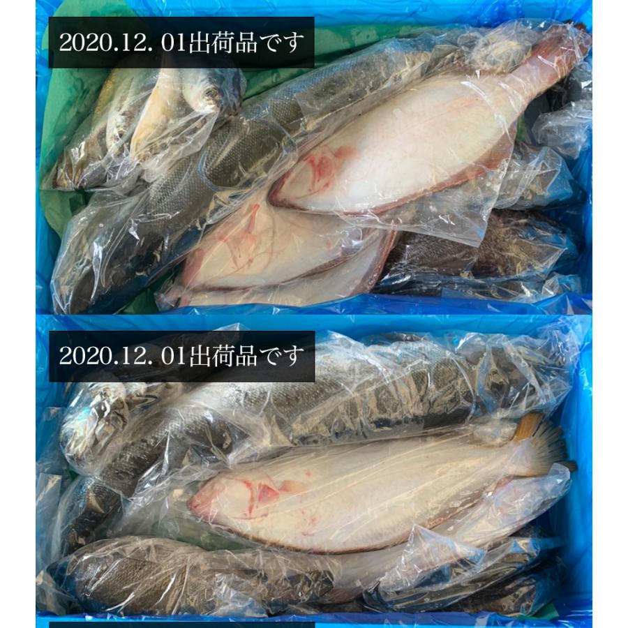 朝獲れ 鮮魚 セット 青森 尾駮漁港 6000円 贈り物 お歳暮 魚詰合せ 送料無料 |  | 02