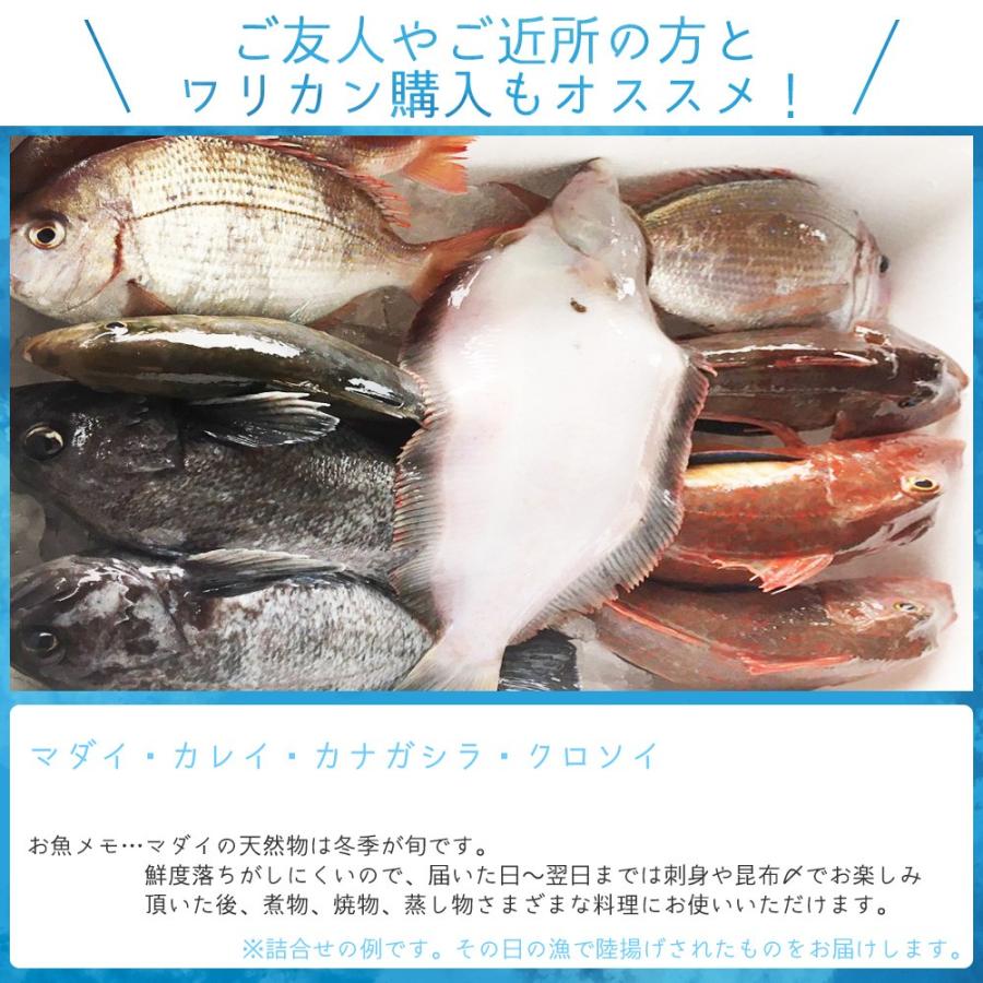朝獲れ 鮮魚 セット 青森 尾駮漁港 6000円 贈り物 お歳暮 魚詰合せ 送料無料 |  | 04