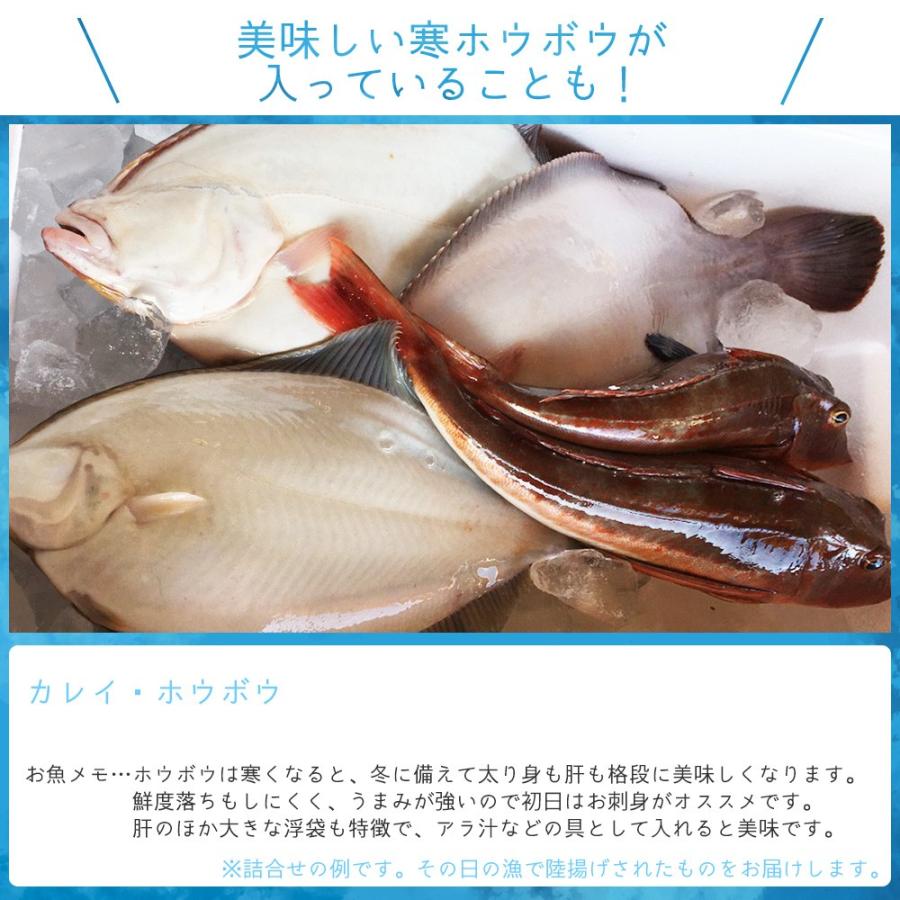 朝獲れ 鮮魚 セット 青森 尾駮漁港 6000円 贈り物 お歳暮 魚詰合せ 送料無料 Obc As0002 尾駮鮮魚団yahoo 店 通販 Yahoo ショッピング