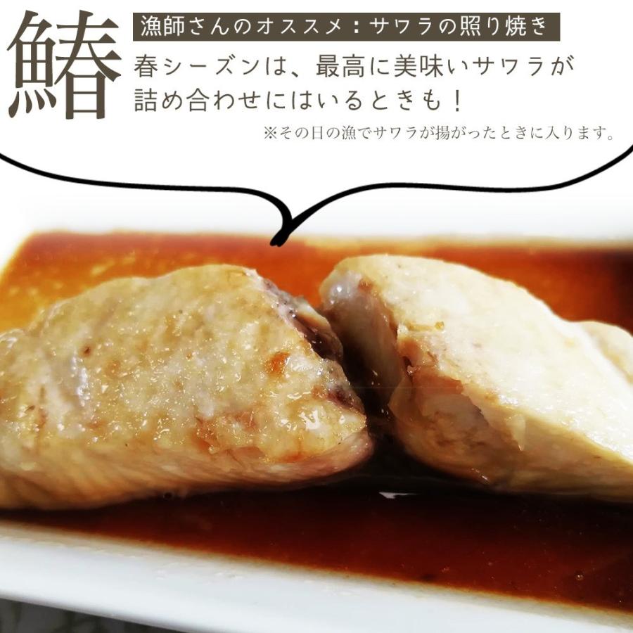 朝獲れ 鮮魚 セット 青森 尾駮漁港 6000円 贈り物 お歳暮 魚詰合せ 送料無料 |  | 07