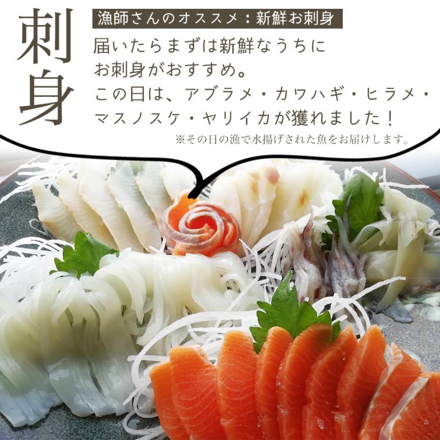 朝獲れ 鮮魚 セット 青森 尾駮漁港 6000円 贈り物 お歳暮 魚詰合せ 送料無料 |  | 08