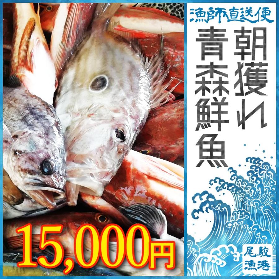 朝獲れ 鮮魚 セット 青森 尾駮漁港 15000円 贈り物 お歳暮 魚詰合せ | 