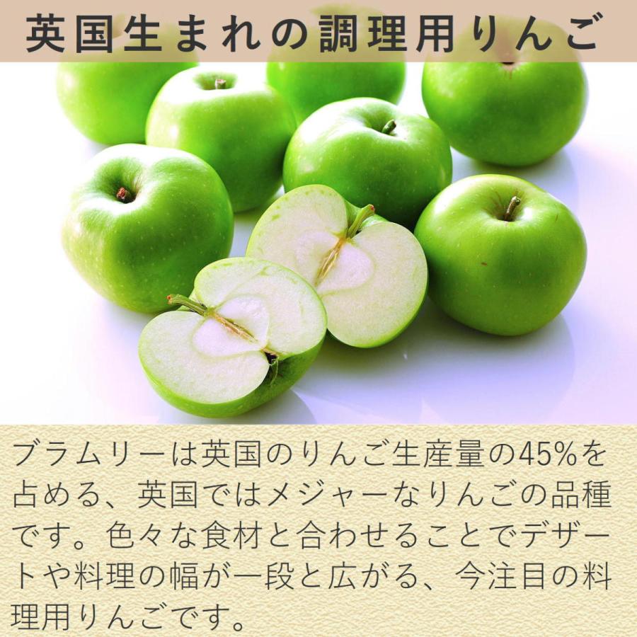 不揃いりんご 小布施ブラムリー 約4.8kg/常温便・送料無料 長野県産地