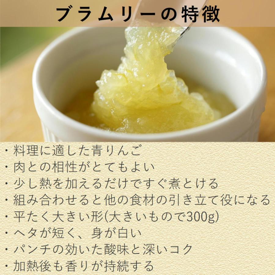 不揃いりんご 小布施ブラムリー 約4.8kg/常温便・送料無料 長野県産地