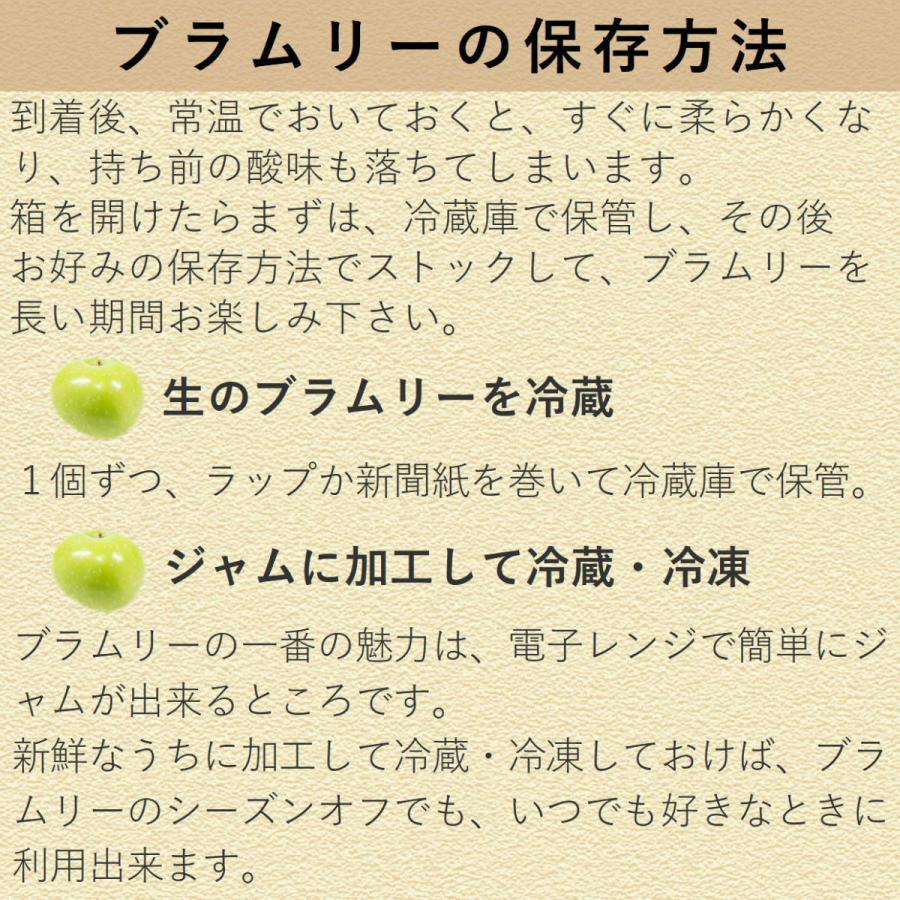 不揃いりんご 小布施ブラムリー 約4.8kg/常温便・送料無料 長野県産地