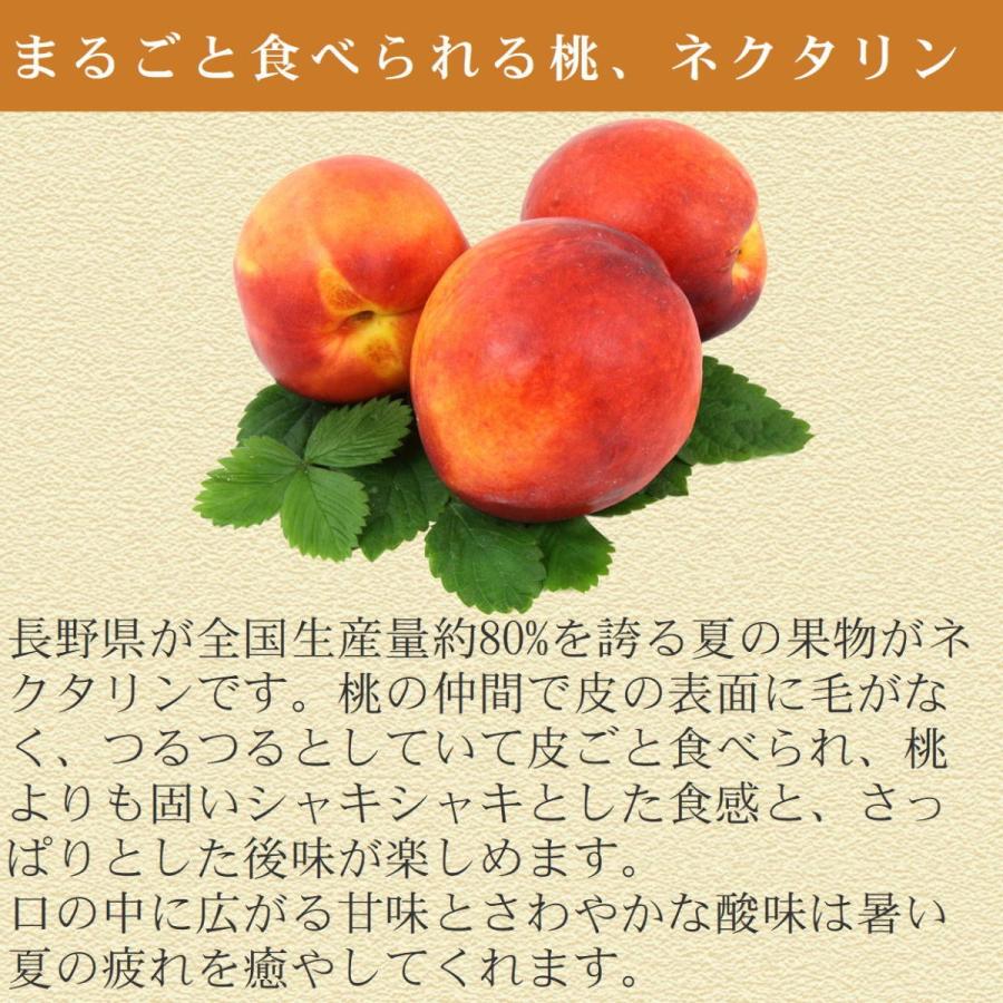 申込期間 8 1まで 旬のネクタリン 約2 8kg 冷蔵便 送料無料 長野 産地直送 桃 フルーツ 果物 信州 小布施 数量限定 Ft 1 001 小布施屋 ヤフー店 通販 Yahoo ショッピング