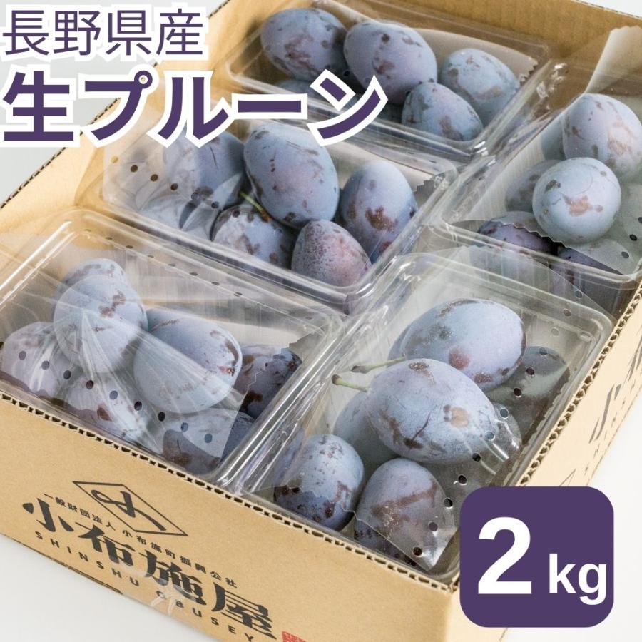 旬のプルーン 約2kg /　発送中　冷蔵便 送料無料 長野 生プルーン 産地直送 桃 フルーツ 果物 信州 小布施 数量限定 の商品画像