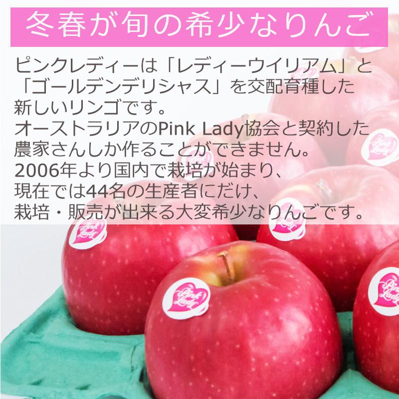 りんご ピンクレディー 約2 8kg 常温便 送料無料 長野県産地直送 Ft 1 010 小布施屋 ヤフー店 通販 Yahoo ショッピング