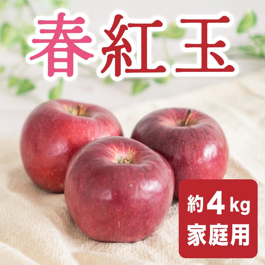 りんご 春紅玉 ご家庭用 訳あり 約4kg /常温便・送料無料 長野県産地