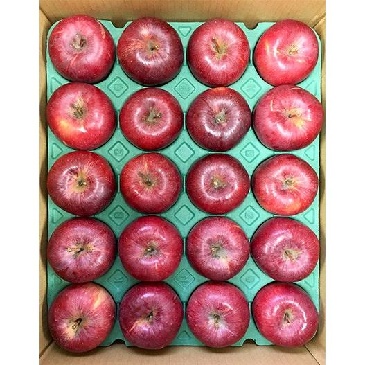 りんご 春紅玉 ご家庭用 訳あり 約4kg /常温便・送料無料 長野県産地