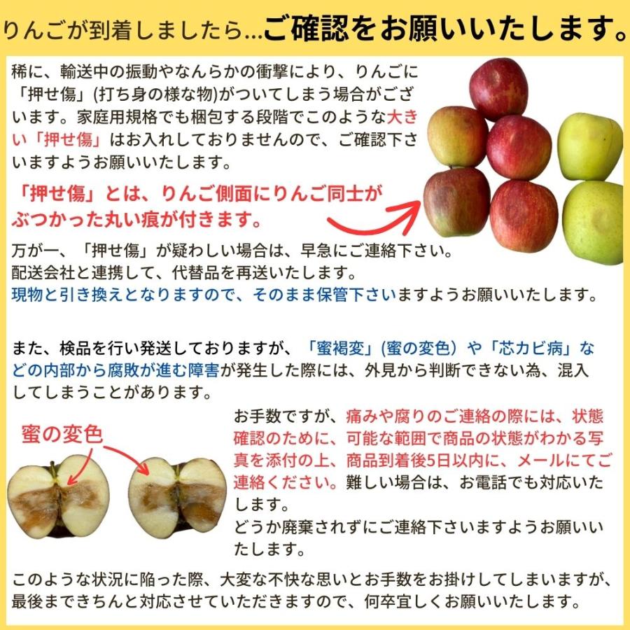 りんご シナノゴールド ご家庭用 約10kg /常温便 送料無料 長野 産地直送 フルーツ 果物 訳あり 信州 数量限定 産直｜obuse-ya63｜06