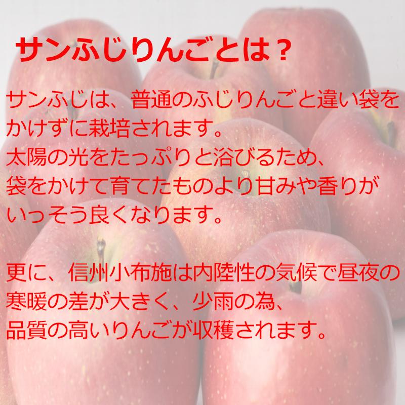 スマートフレッシュりんご サンふじ『風のいたずら』ご家庭用 約5kg
