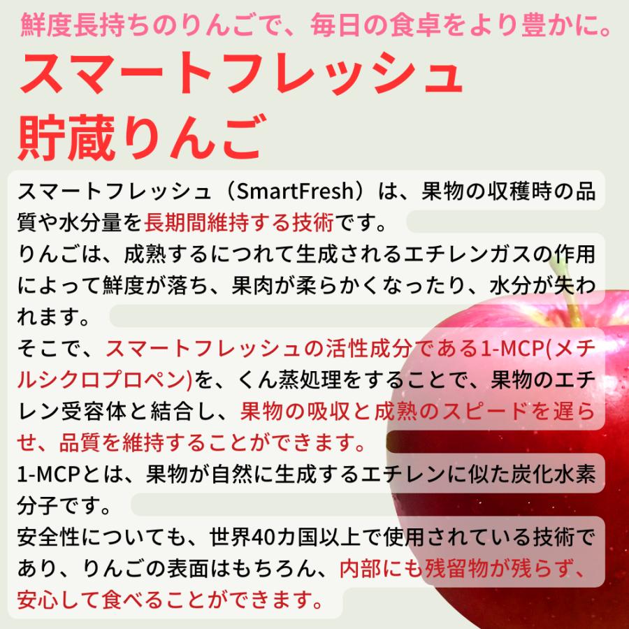 のりたま【受注販売｜鮮度長持ち】 りんご スマートフレッシュ 家庭用6キロ スマートフレッシュりんご サンふじ『風のいたずら』ご家庭用 約5kg