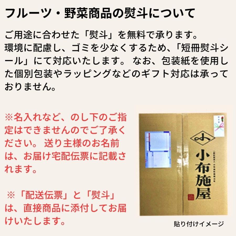 スマートフレッシュりんご サンふじ『風のいたずら』ご家庭用 約5kg