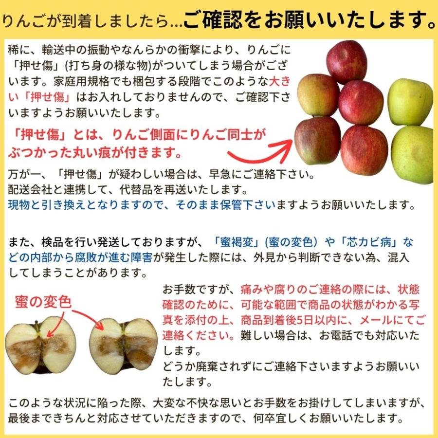 スマートフレッシュりんご サンふじ『風のいたずら』ご家庭用 約5kg