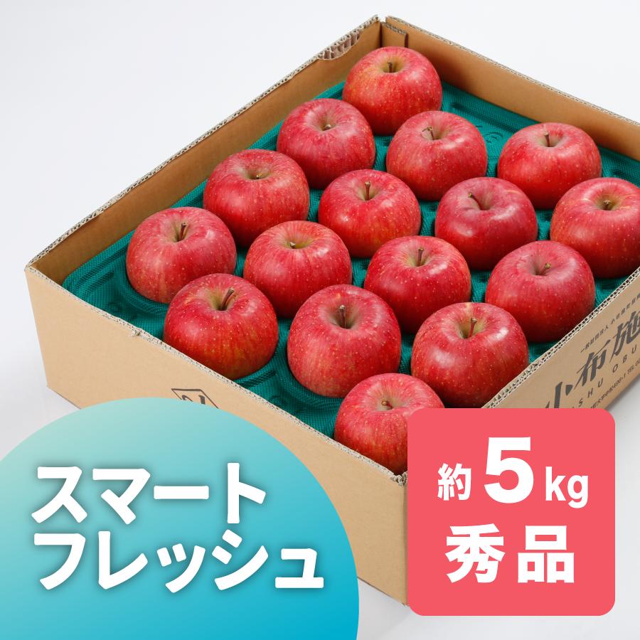 スマートフレッシュりんご サンふじ 秀品 約5kg /常温便 送料無料 長野