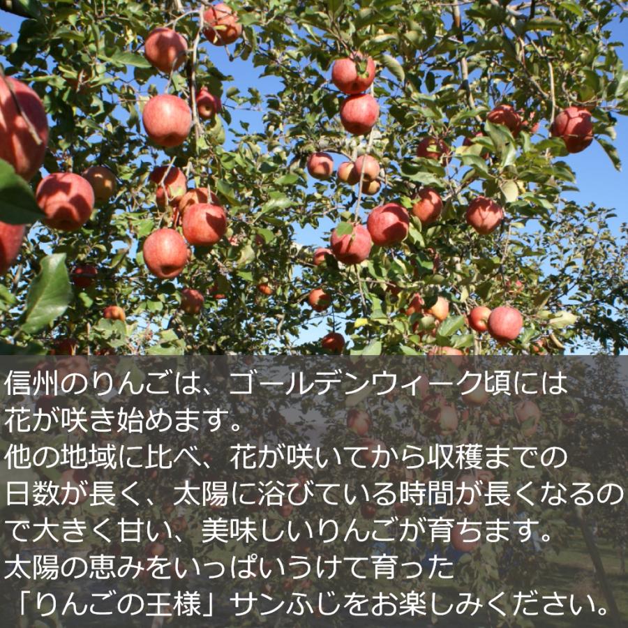 りんご サンふじ『風のいたずら』家庭用 約20kg（10kg×2箱） /常温便 送料無料 長野 産地直送 フルーツ 果物 訳あり｜obuse-ya63｜04