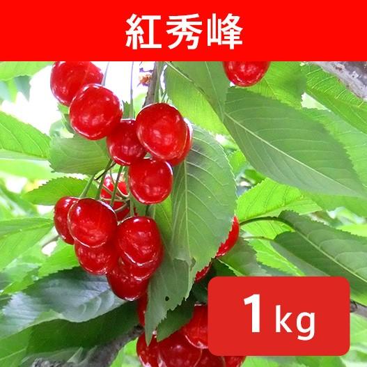 さくらんぼ 紅秀峰 約1kg /送料無料 冷蔵 クール 長野 産地直送 果物 フルーツ チェリー 信州 小布施 数量限定