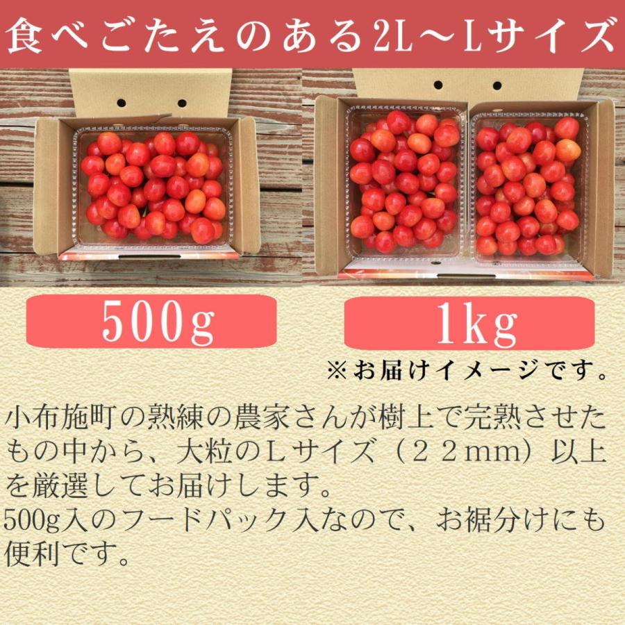 さくらんぼ 佐藤錦 約2kg /送料無料 冷蔵 クール 長野 産地直送 果物 フルーツ チェリー 信州 小布施 数量限定｜obuse-ya63｜04