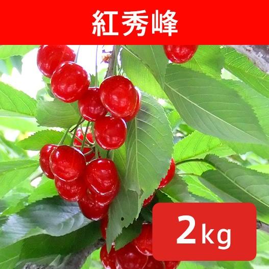 さくらんぼ 紅秀峰 約2kg /送料無料 冷蔵 クール 長野 産地直送 果物 フルーツ チェリー 信州 小布施 数量限定