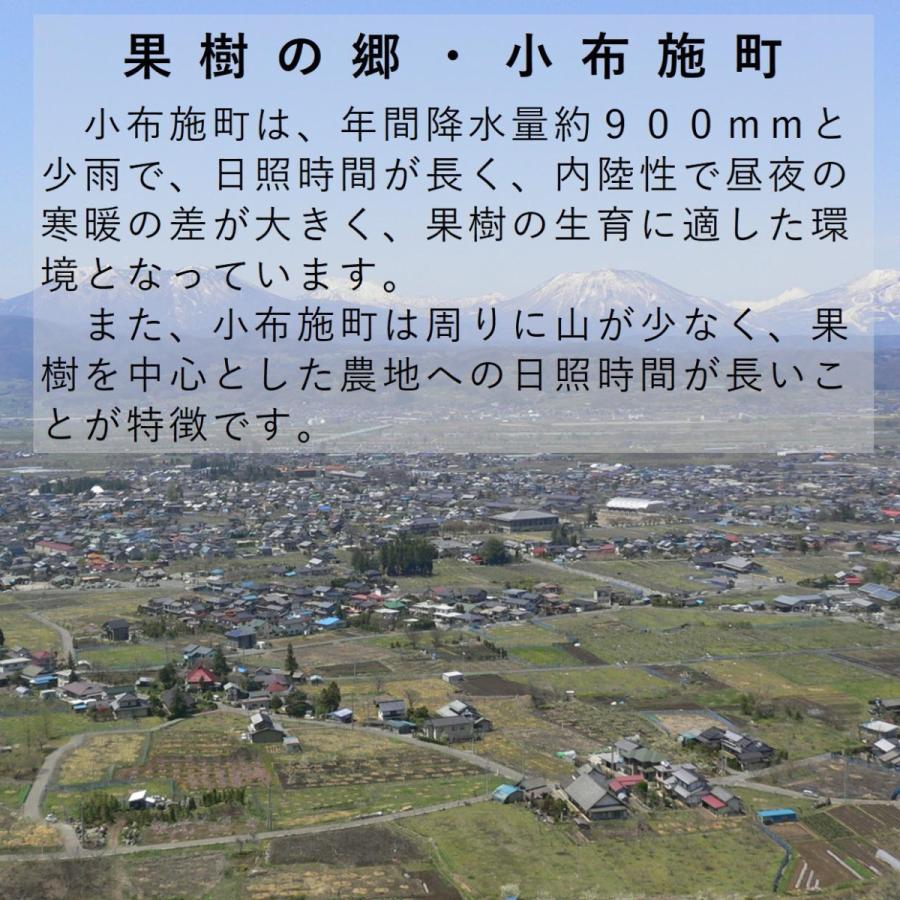 ぶどう 蔵出し冬のシャインマスカット 約1kg 氷温貯蔵 /送料無料 常温便 長野 産地直送 果物 フルーツ 葡萄  信州 小布施町 産直 数量限定 種無し | ブランド登録なし | 06