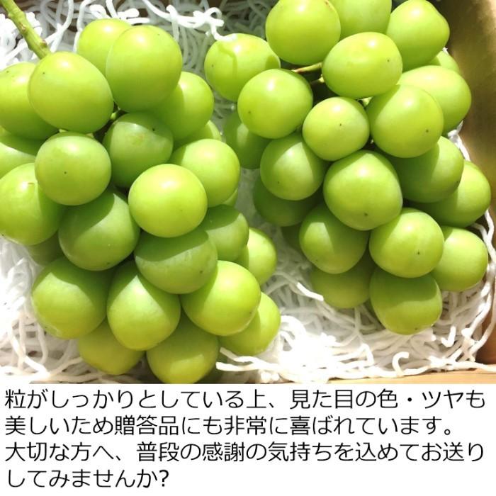 ぶどう シャインマスカット 約2kg /送料無料 常温便 長野 産地