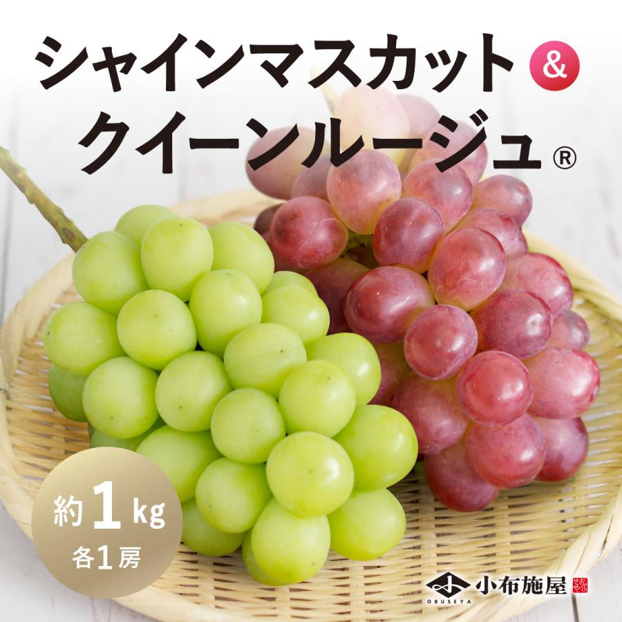 シャインマスカット＆クイーンルージュ(R) 約1kg (各1房)/冷蔵便 送料無料 長野 産地直送 フルーツ 果物 葡萄 信州 小布施 数量限定 赤ぶどう 爆買