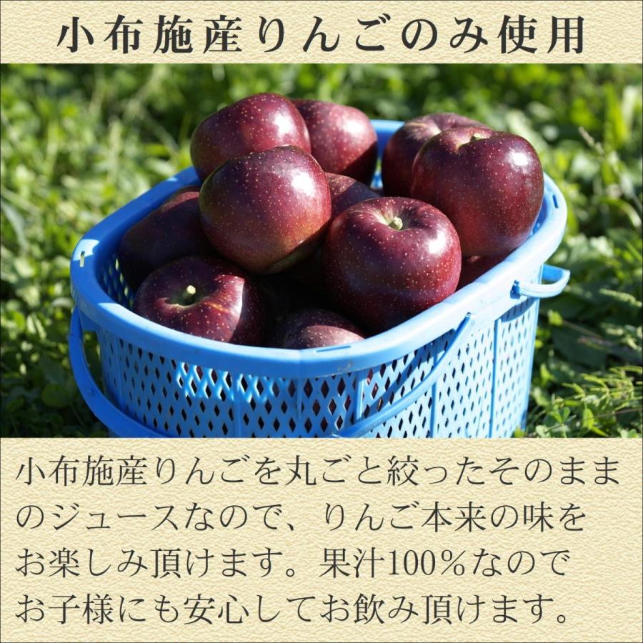 長野県産 りんごジュース シナノスイート 720ml ストレート果汁 長野県産 りんごジュース シナノスイート 720ml ストレート果汁