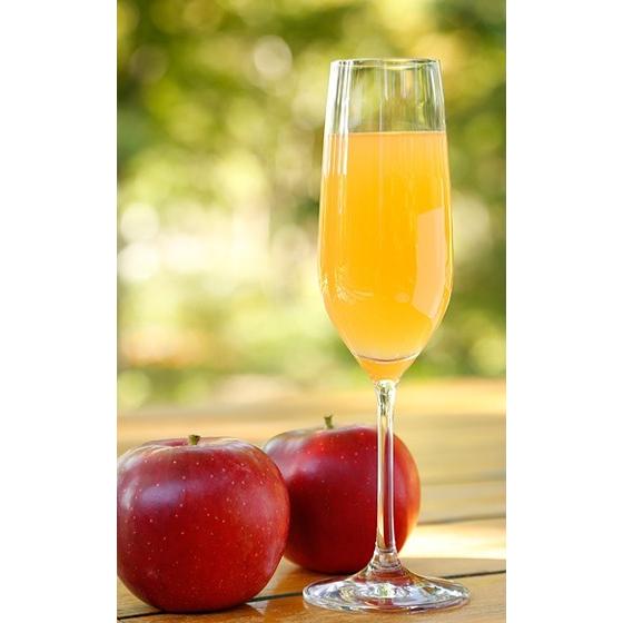 長野県産 りんごジュース 紅玉 180ml 12本入 ストレート果汁100
