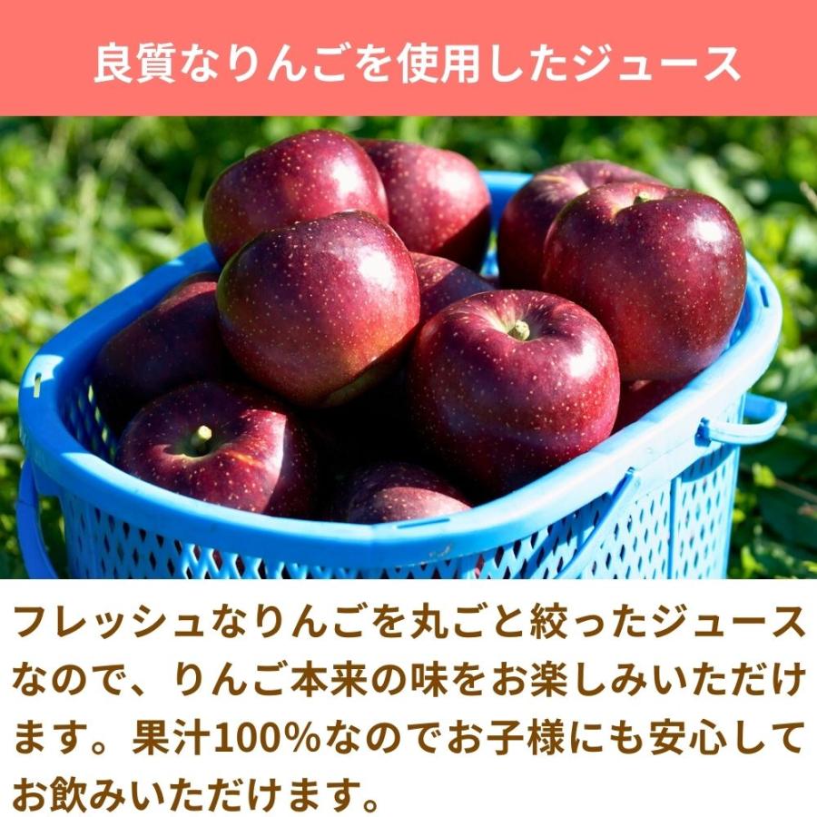 ①【マサラベル無し】青実県産りんごジュース 12本 長野県産 りんご