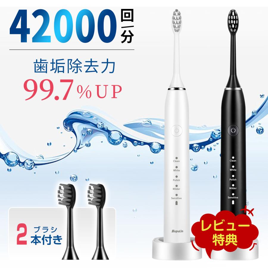 電動歯ブラシ ギフト 歯ブラシ 音波式 IPX7防水 42000回転/分 電動歯ブラシ ギフト 歯ブラシ 音波式 IPX7防水 42000回転/分