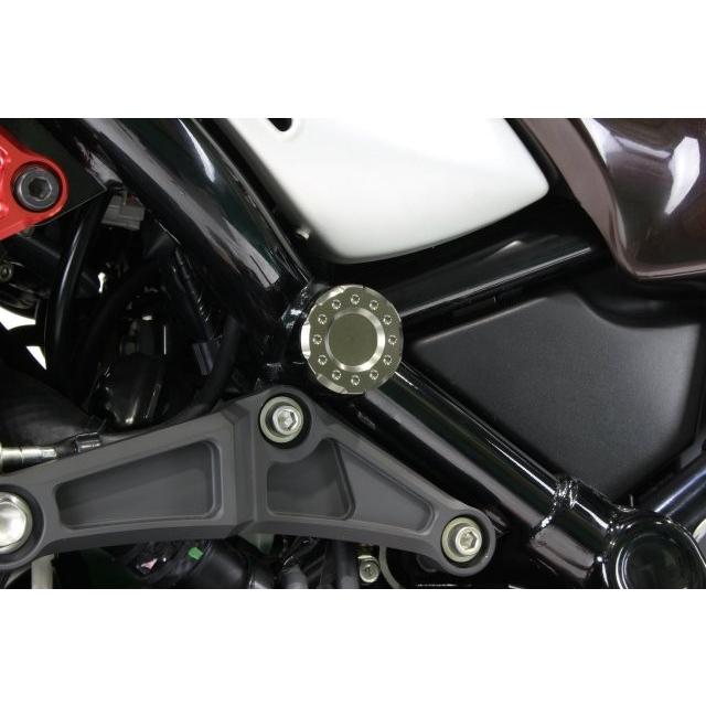 POSH（ポッシュ） フェイス フレームキャップ センター 13 チタン