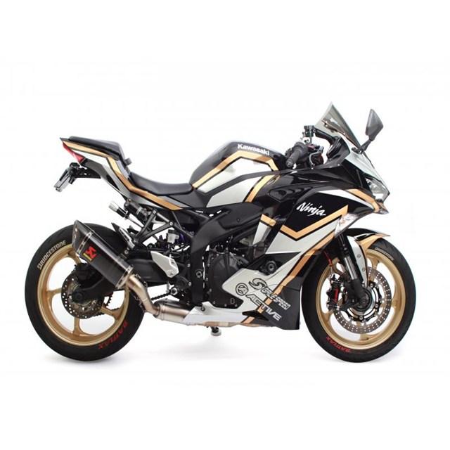 欠品中 GALE SPEED アクティブ R 550-17 GLD [TYPE-GP1S Gコート] ZX