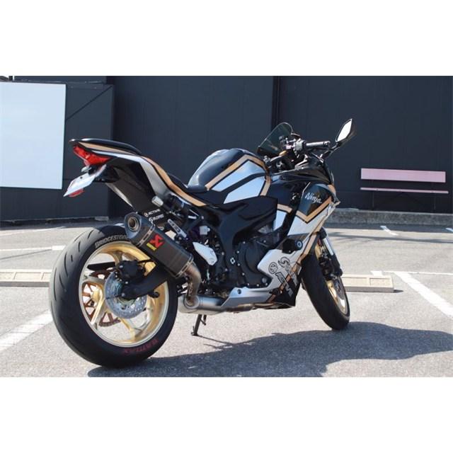 欠品中 GALE SPEED アクティブ R 550-17 GLD [TYPE-GP1S Gコート] ZX