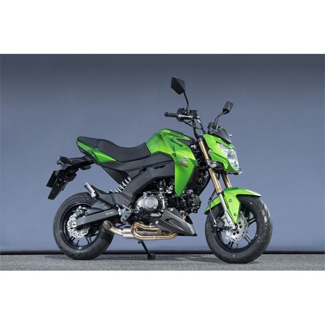 YAMAMOTO RACING（ヤマモトレーシング） Yamamoto マフラー Z125 PRO