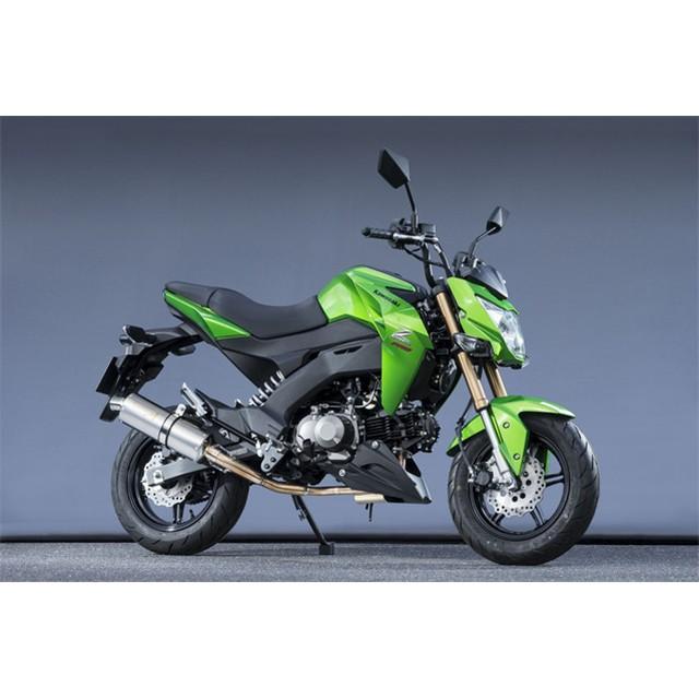 まい様 YAMAMOTO RACING（ヤマモトレーシング） Yamamoto マフラー Z125 PRO