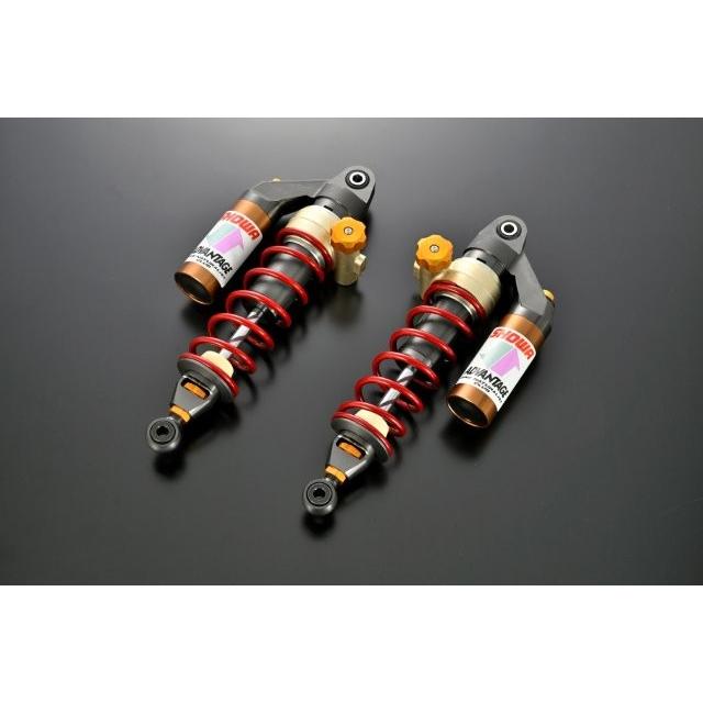 ADVANTAGE（アドバンテージ） SHOWA ショウワ RS-γリヤサスペンション