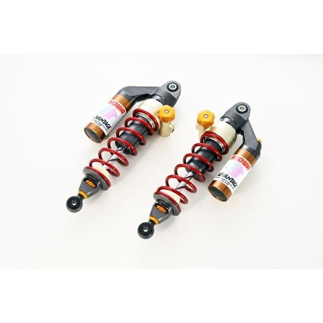 ADVANTAGE（アドバンテージ） SHOWA ショウワ RS-γリヤサスペンション