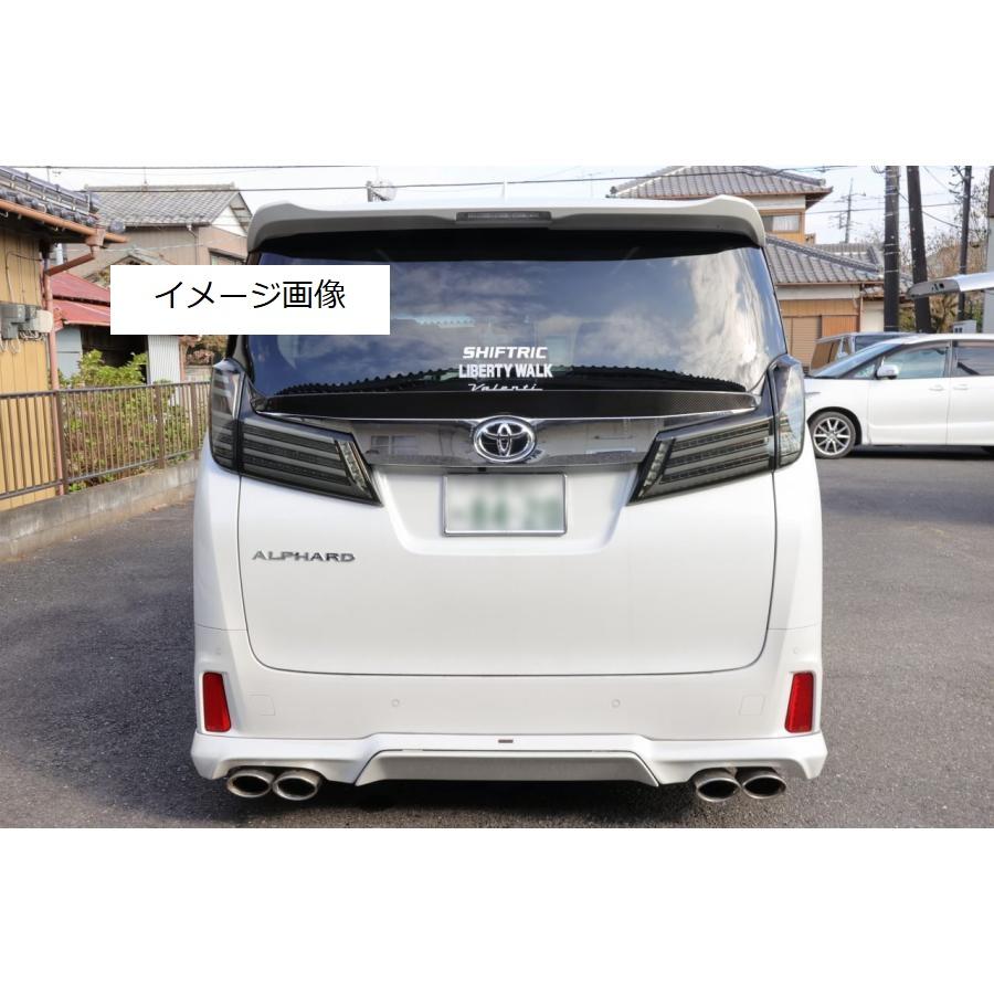 TOYOTA アルファード 30系 後期 リアゲートスポイラー ドライカーボン