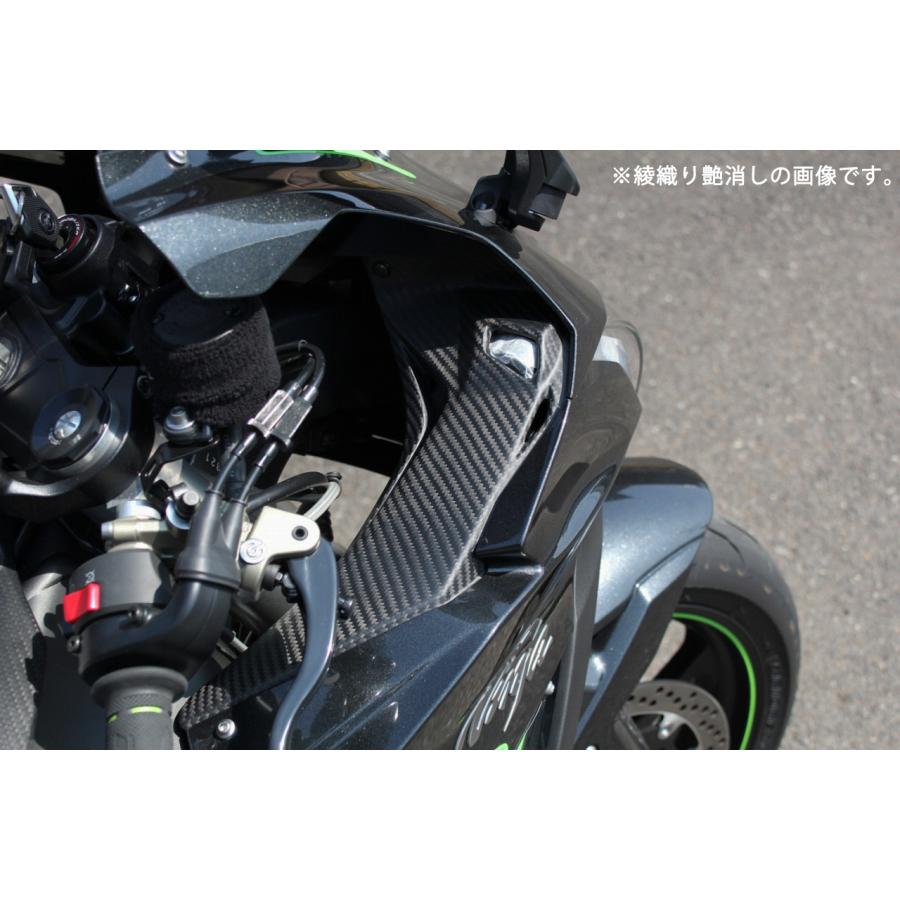 KAWASAKI ZX-10R 2016-2020 インナーサイドカバー ドライカーボン  SPEEDRA スピードラ  CKA0904PM_1