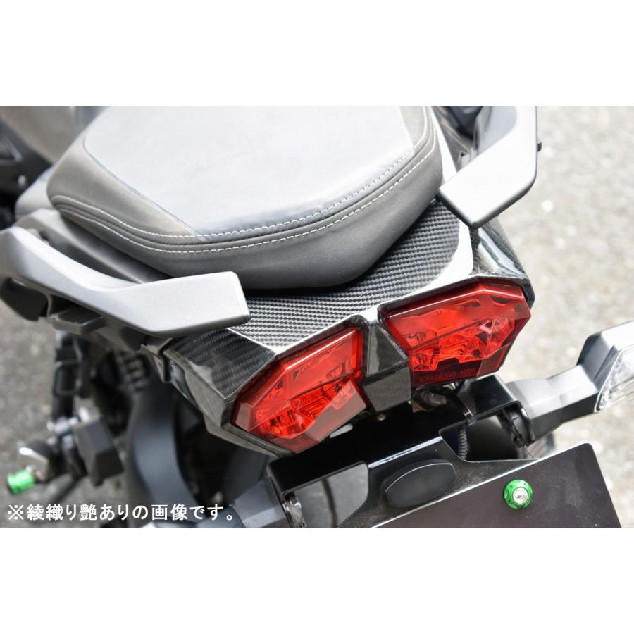 KAWASAKI Ninja H2 SX/Ninja SX SE テールライトカバー SPEEDRA