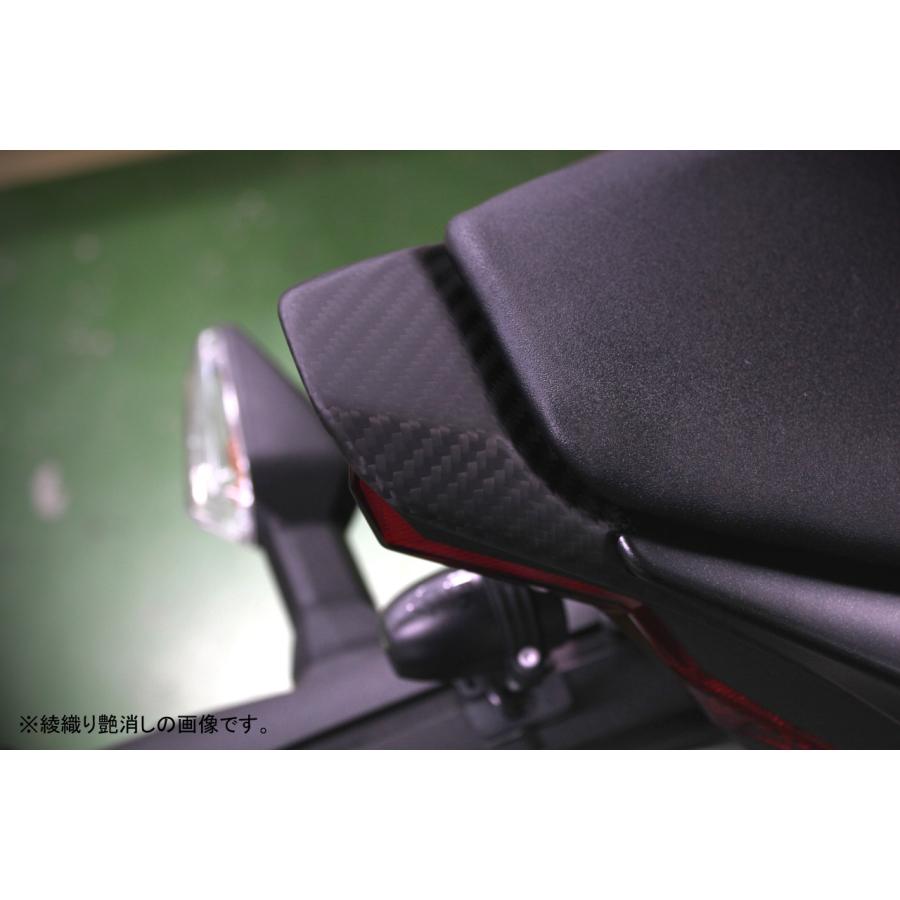 KAWASAKI ZX-6R 2019- テールライトカバー ドライカーボン SPEEDRA