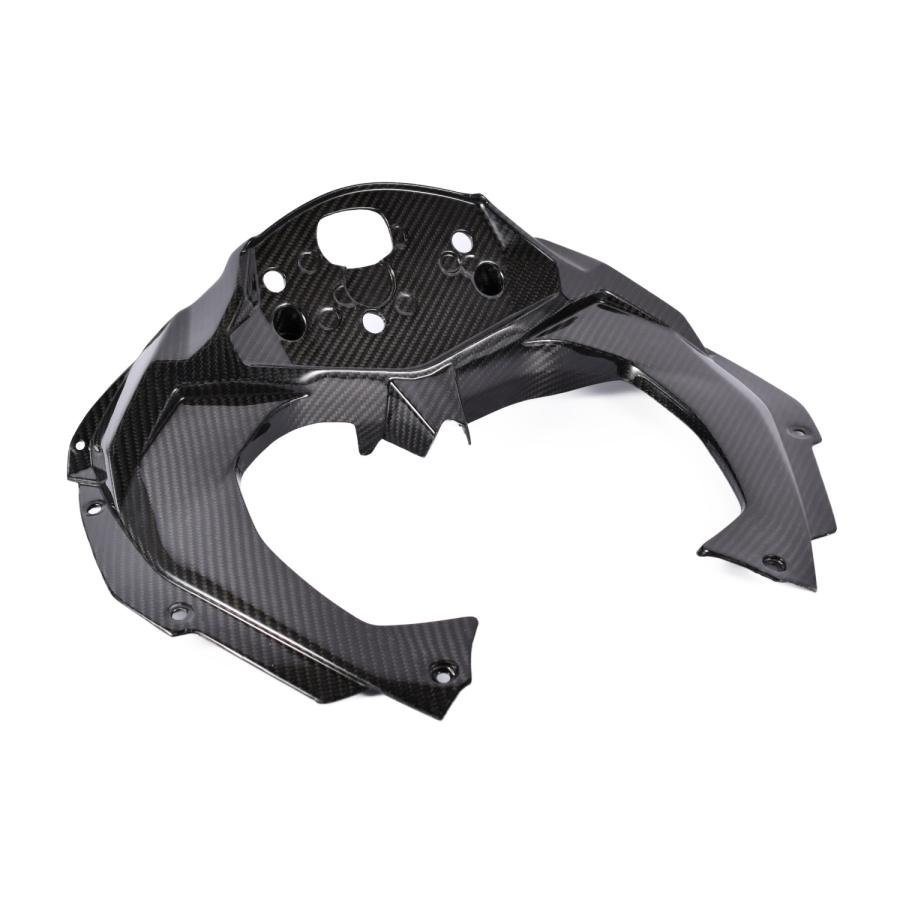 KAWASAKI ZX-25R 2020 メーターカバー ドライカーボン SPEEDRA
