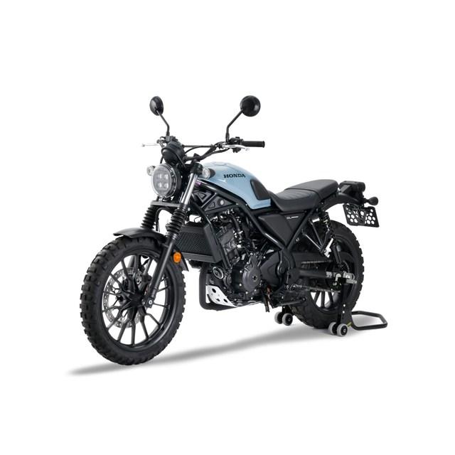 ZETA 在庫有り ジータ Egプロテクション アンダーガード CL250 '23